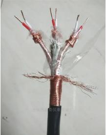 ZR-DJFPFP计算机电缆,高温屏蔽仪表电缆